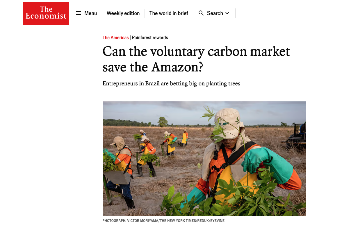 Screenshot of The Economist article with a headline can the can the voluntary carbon market save the amazon